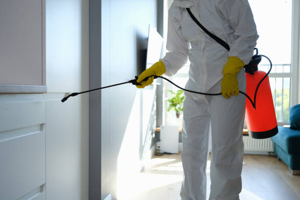 Best Mold Damage Repair  in Macon, GA